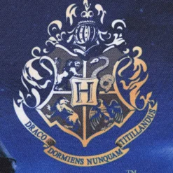 Cartable Harry Potter Château De Poudlard 38 Cm -Promos Voyage Sac Boutique cartables scolaires dessins animes 866679z