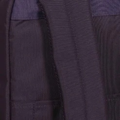 Sac à Dos Delsey Légère 2.0 -Promos Voyage Sac Boutique sac dos delsey 758398z