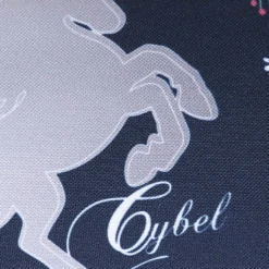 Trousse Cybel Spring - 2 Compartiments -Promos Voyage Sac Boutique trousse scolaire dessins animes 869461z