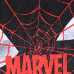 Disney Trousse Spider-Man Miles - 2 Compartiments -Promos Voyage Sac Boutique trousse scolaire disney 870717z